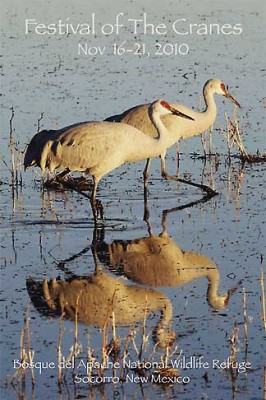 Festival of the Cranes